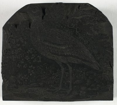 Woodblock do Wielkiej Sieweczki, z Historii ptaków brytyjskich autorstwa Thomas Bewick
