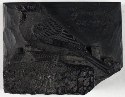  autorstwa Thomas Bewick