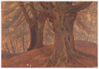 Burnham Beeches autorstwa Thomas Charles Farrer