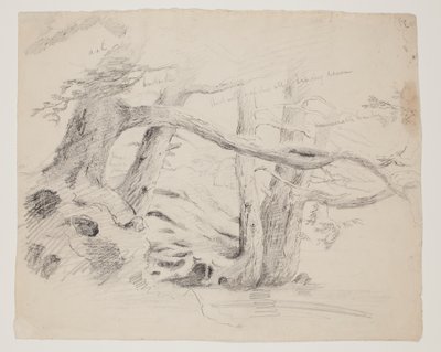 Dąb i Hemlock Trees (ołówek na papierze) autorstwa Thomas Cole
