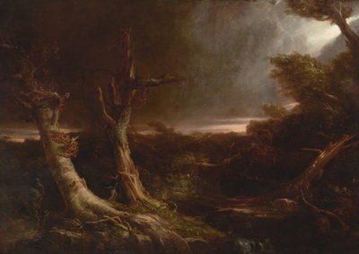 Tornado w amerykańskim lesie autorstwa Thomas Cole