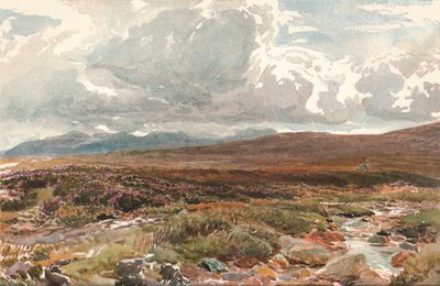 Sussex Common, ok. 1889 r. autorstwa Thomas Collier