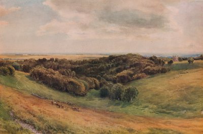 Park Arundel, 1874 autorstwa Thomas Collier