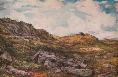 Blythburgh Common, 1888 autorstwa Thomas Collier