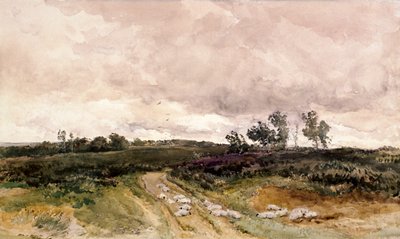 „Scena wrzosowa”, 1878 autorstwa Thomas Collier