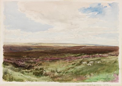 Moorland near Hart Leap Well, Yorkshire (akwarela na papierze) autorstwa Thomas Collier