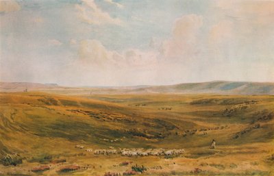 Downs niedaleko Lewes Seaford Cliff w oddali, ok. 1887 r. autorstwa Thomas Collier