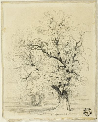 Ches[t]nut w parku Greenwich autorstwa Thomas Creswick