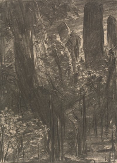 Gaj drzew autorstwa Thomas Dalziel