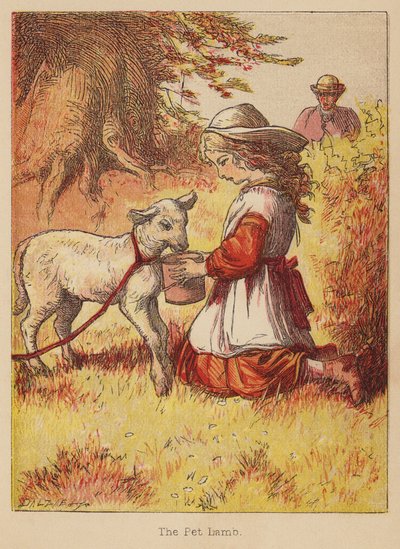 Baranek (kolorowy grawerunek) autorstwa Thomas Dalziel