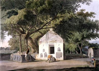 Święte Drzewo Hindusów w Gyah, Bahar, z książki „Orientalna sceneria: dwadzieścia cztery widoki w Hindoostanie” autorstwa Thomas Daniell
