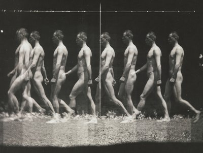 [Człowiek idący, zdjęcie stroboskopowe], lata 80. XIX wieku, drukowane lata 30.-40., lata 80. XIX wieku, drukowane lata 30.-40. autorstwa Thomas Eakins