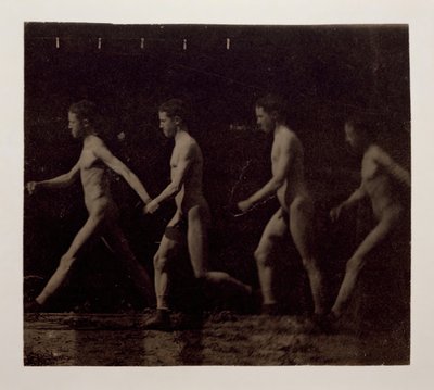Fotografie Marey Wheel niezidentyfikowanego modelu, 1884. autorstwa Thomas Eakins