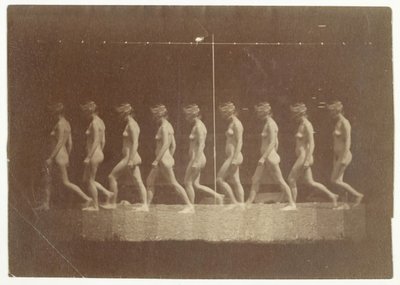 Fotografie Marey Wheel niezidentyfikowanego modelu, 1884. autorstwa Thomas Eakins