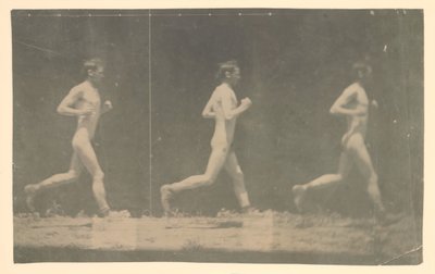 Fotografie Marey Wheel niezidentyfikowanego modelu, 1884. autorstwa Thomas Eakins