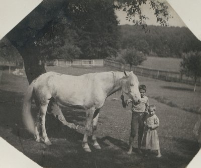 Koń Billy i dwoje dzieci Crowella Thomasa Eakinsa w Avondale w Pensylwanii, ca. 1892. autorstwa Thomas Eakins