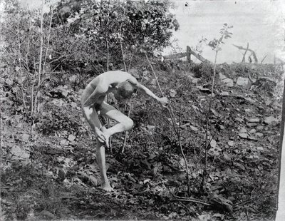 Ściągacz cierni, c. 1883. autorstwa Thomas Eakins
