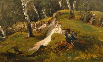 Zapasy Birck w Romsdal autorstwa Thomas Fearnley