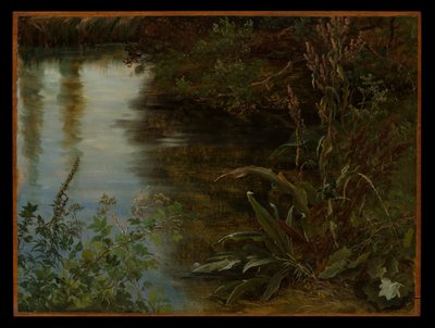 autorstwa Thomas Fearnley