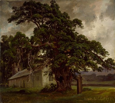  autorstwa Thomas Fearnley