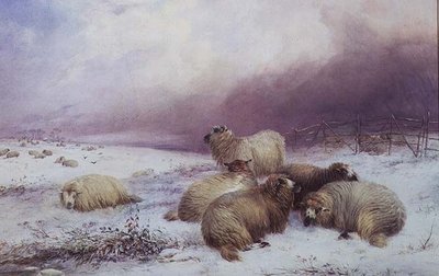 Zimowy krajobraz z owcami autorstwa Thomas Francis Wainewright