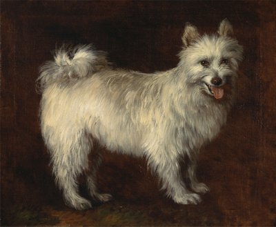 szpic pies autorstwa Thomas Gainsborough