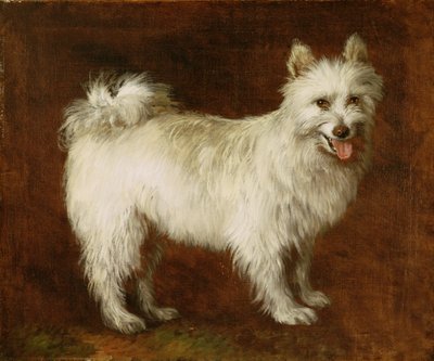 Pies szpic, ok. 1760-70 (olej na płótnie) autorstwa Thomas Gainsborough
