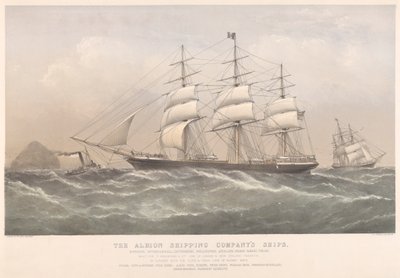 Statki Albion Shipping Company (kolorowa litografia) autorstwa Thomas Goldsworth Dutton