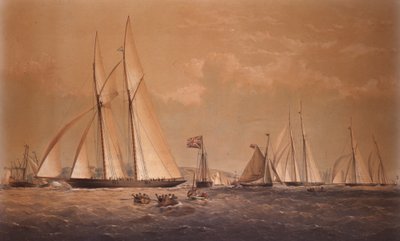 Zwycięski wyścig jachtów Anglo American w Cambrii, 1868 r autorstwa Thomas Goldsworth Dutton