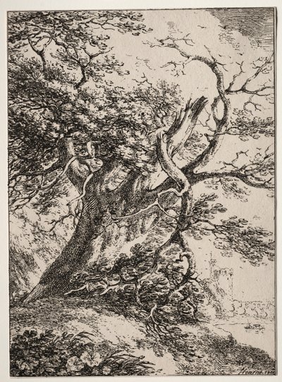 Okazy poliautografii: Pejzaż z dębem, 1803. autorstwa Thomas Hearne