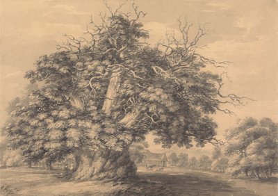 polish autorstwa Thomas Hearne