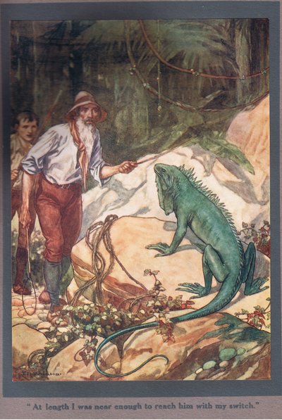 W końcu byłem wystarczająco blisko, by dosięgnąć go moim przełącznikiem (kolorowa litografia) autorstwa Thomas Heath Robinson
