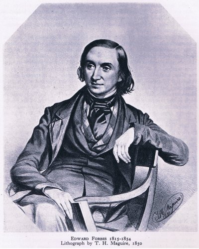 Edward Forbes (1815-1854), Nature in Britain wydane przez Collins, 1946 autorstwa Thomas Herbert Maguire