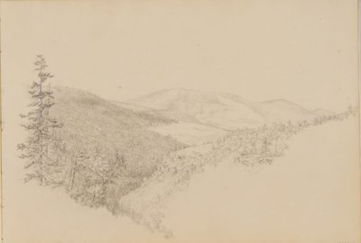 Goździk Kauterskill ze Szkicownika krajobrazu i tematyki zwierzęcej, ca. 1860-64. autorstwa Thomas Hewes Hinckley