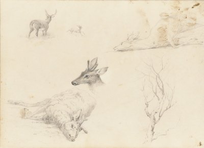 Szkicownik krajobrazu i tematyki zwierzęcej, 1860-64. autorstwa Thomas Hewes Hinckley