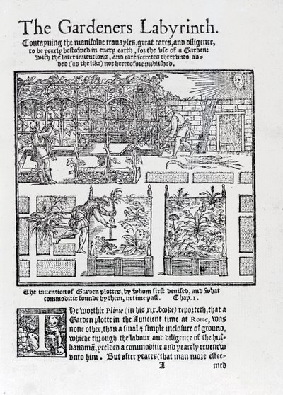 Altana zbudowana jako cień przed słońcem i sadzenie w podwyższonych grządkach, z Labiryntu Ogrodników, 1577 autorstwa Thomas Hill