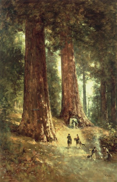 W sekwoi, 1899 autorstwa Thomas Hill