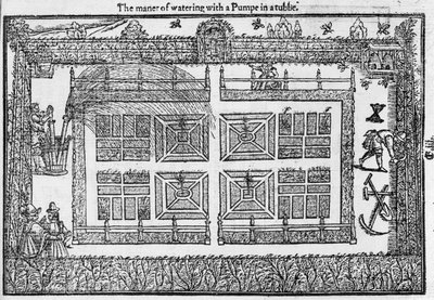 Sposób podlewania pompą w tubie, z Labiryntu Ogrodnika, 1577 autorstwa Thomas Hill
