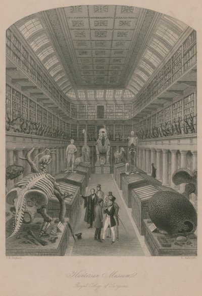 Hunterian Museum, Royal College of Surgeons, Londyn autorstwa Thomas Hosmer Shepherd