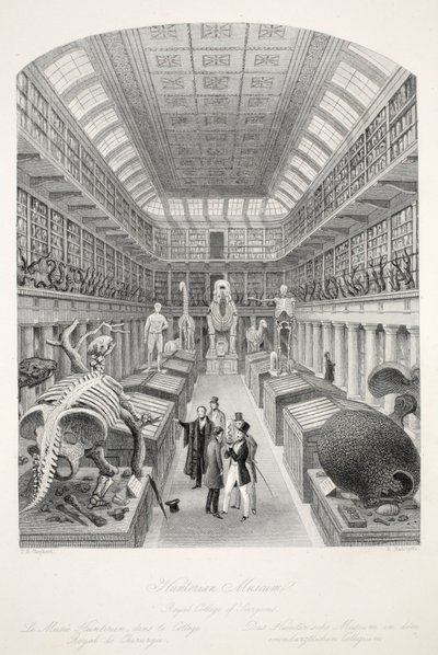 Hunterian Museum, Royal College of Surgeons, z pubu „London Interiors with their Costumes and Ceremonies”. Joseph Mead, Londyn, c.1843 (rycina stalowa) autorstwa Thomas Hosmer Shepherd