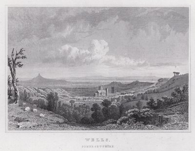 Wells, Somersetshire (grawerowanie) autorstwa Thomas Hosmer Shepherd