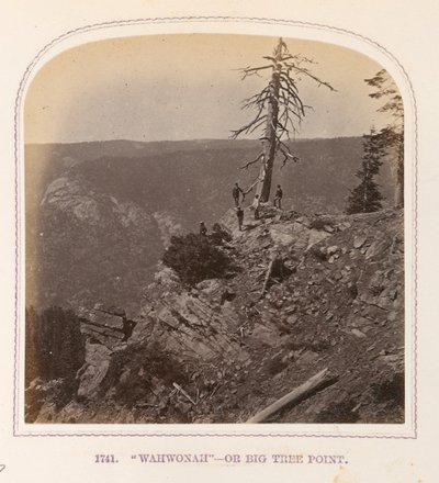 "Wahwonah" - lub Big Tree Point autorstwa Thomas Houseworth