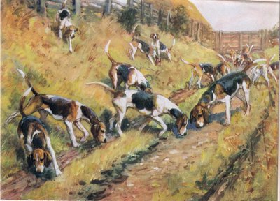 Nos do ziemi, ilustracja z „Ogarów” autorstwa Thomas Ivester Lloyd