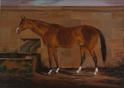 Portret Lexington autorstwa Thomas J. Scott