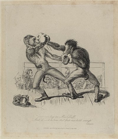 Monkeys Boxing, od Monkey-ana autorstwa Thomas Landseer