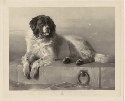 Portret psa ratowniczego Boba, leżącego na molo Zasłużony Członek Towarzystwa Humanitarnego (tytuł na obiekcie) autorstwa Thomas Landseer