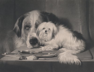 Lew-pies z Malty — ostatni z jego plemienia, 1844. autorstwa Thomas Landseer