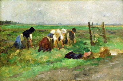 Robotnicy polowi, ok. 1900 (olej na tekturze) autorstwa Thomas Ludwig Herbst