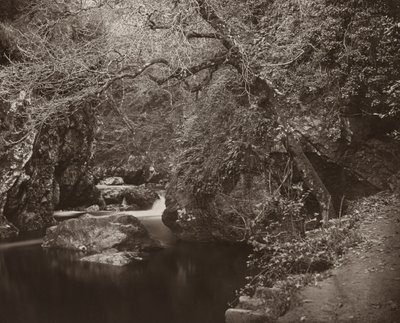 Otwór Dargle