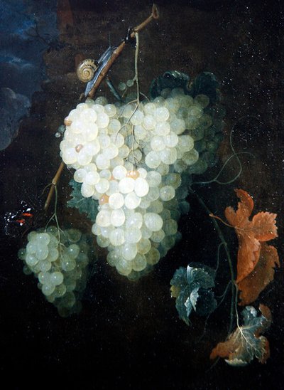 Martwa natura z winogronami, czerwonym admirałem i ślimakiem autorstwa Thomas Mertens